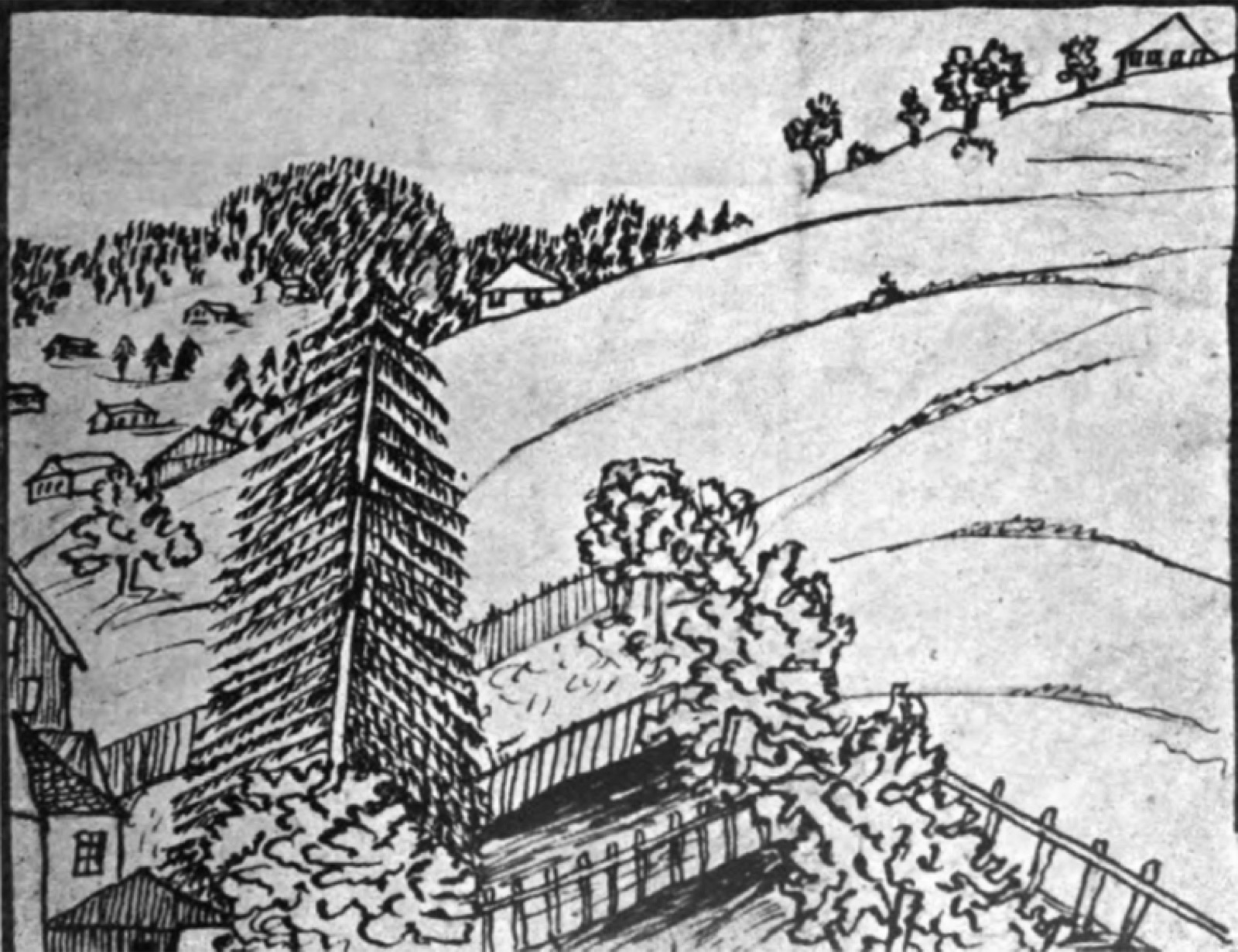 Field notes by Beatrice Vaienti, section 05, plate 1