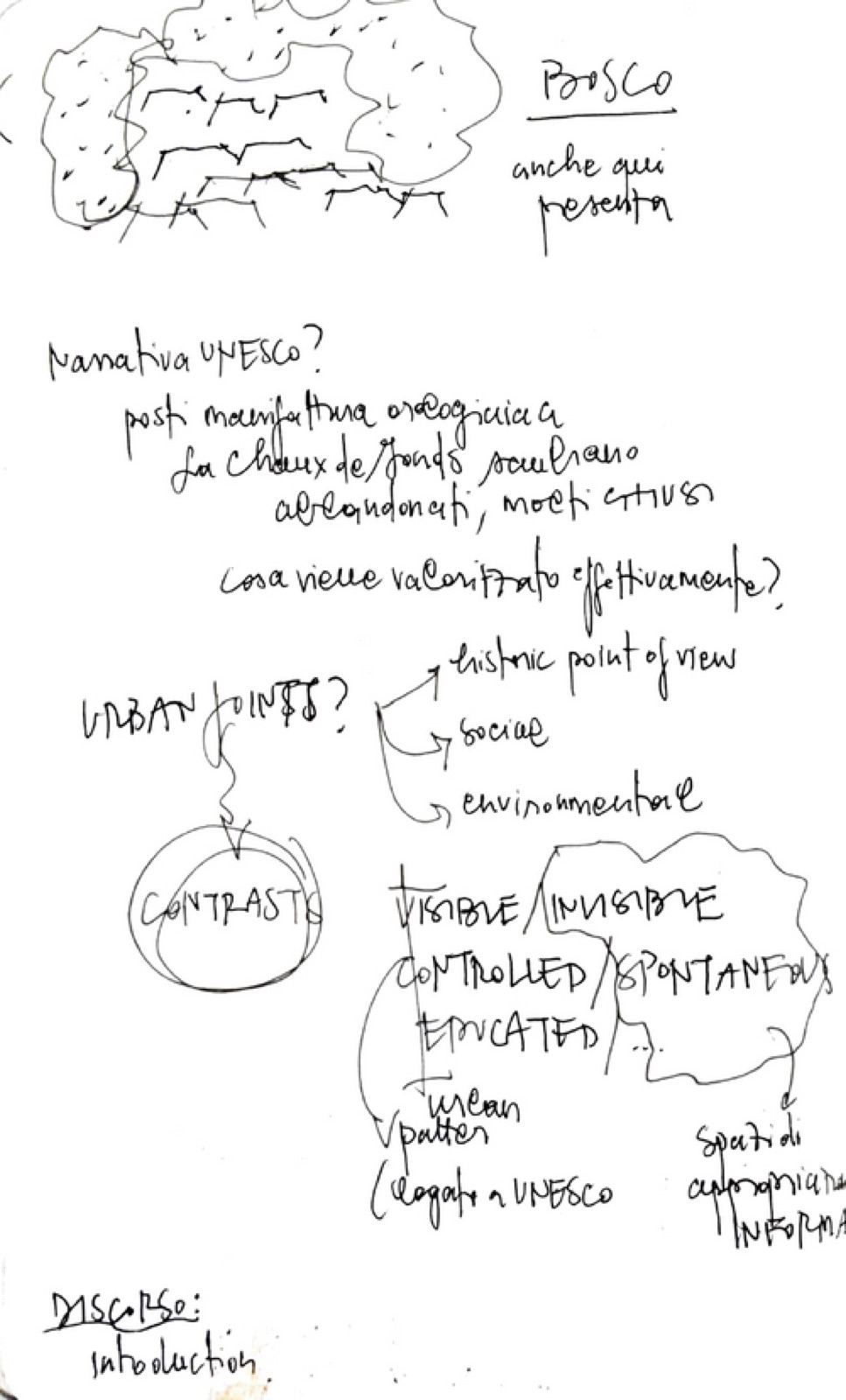 Field notes by Martina Ulbar, section 05, plate 1