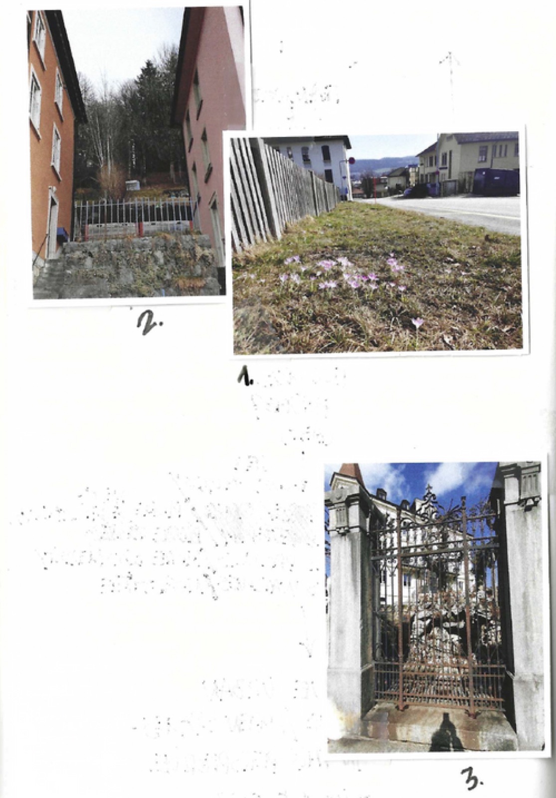 Field notes by Michael Bianchi, section 06, plate 1
